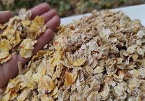 خرید و قیمت کنسانتره آجیلی اسب + فروش عمده 4